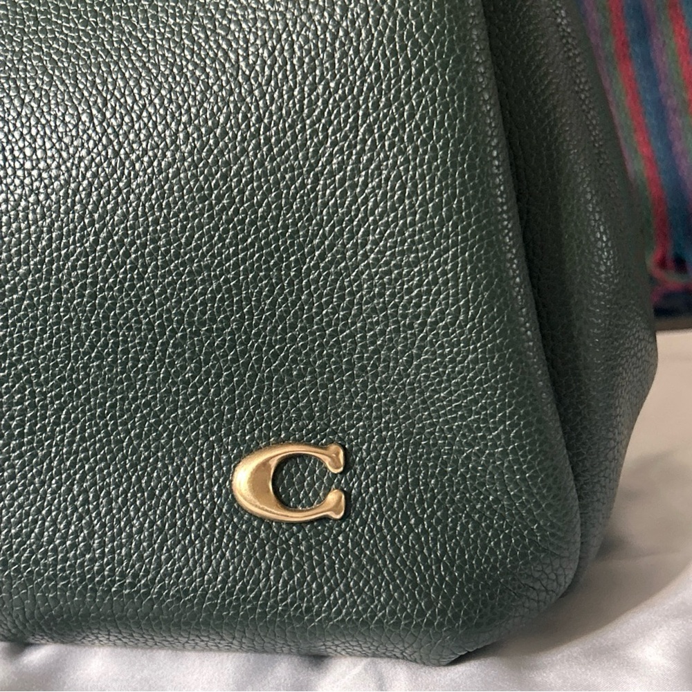 Coach Lana in Amazon Green Leather Shoulder Bag - Picture 9 of 12